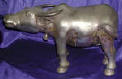 Silver Plated Bronze Oxen