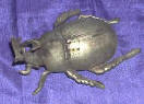 Silver Plated Bronze  Beetle 