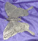 Silver Plated Bronze Butterfly