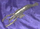 Silver Plated Bronze Shrimp