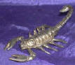 Silver Plated Bronze Scorpion