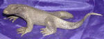 Silver Plated Bronze Komodo Dragon