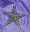 Silver Plated Bronze Star Fish 