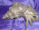 Silver Plated Bronze Crab