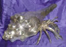 Silver Plated Bronze Crab 