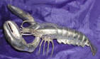 Silver Plated Bronze Lobster 