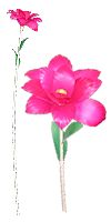 corn flowers,wood flowers,decorative flowers,art-export.com,flowers,bali,indonesia